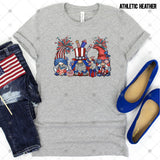 Transfer 002518 - Patriotic Gnomes and Fireworks