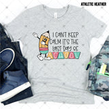 Transfer 002548 - I Can't Keep Calm It's The Last Day of School