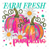 Transfer 002560 - Farm Fresh Pumpkins