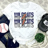Custom Transfer 0041 - School Spirit Stacked Word Art