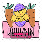 Custom Transfer 0042 - Easter Bag Chicks