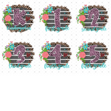 Transfer 000529 - Floral Leopard Grade Set