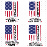 Transfer 001930 - Veteran of the United States