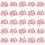 Transfer 002237 - Pink Stars Football Mascots