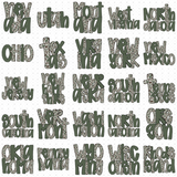 Transfer 002238 - Camo States